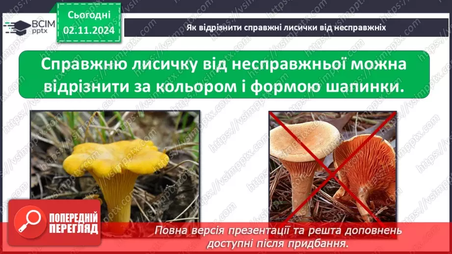 №0033 - Чи всі гриби їстівні17 №0033 - Чи всі гриби їстівні17