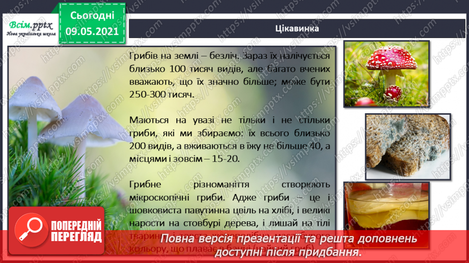 №080 - Хто такі мікроби й бактерії?5