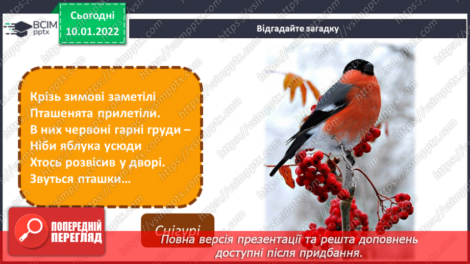 №18 - Основні поняття: художникдекоратор, театральна декорація, рельєф14