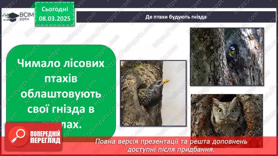 №0076 - Чому птахи в’ють гнізда23 №0076 - Чому птахи в’ють гнізда23