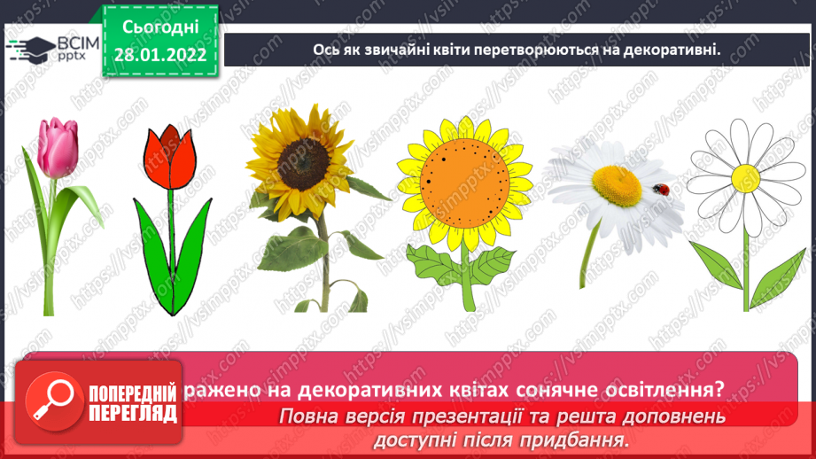 №021 - Декоративне зображення. СМ: М.Приймаченко «Квіти», А.Коттерілл «Рожеві тюльпани».12