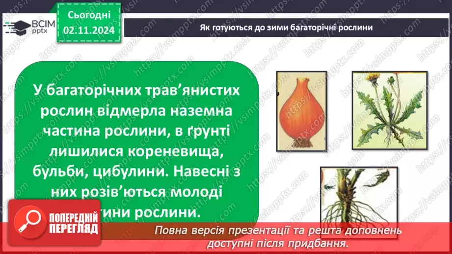 №0032 - Як рослини готуються до зими17 №0032 - Як рослини готуються до зими17