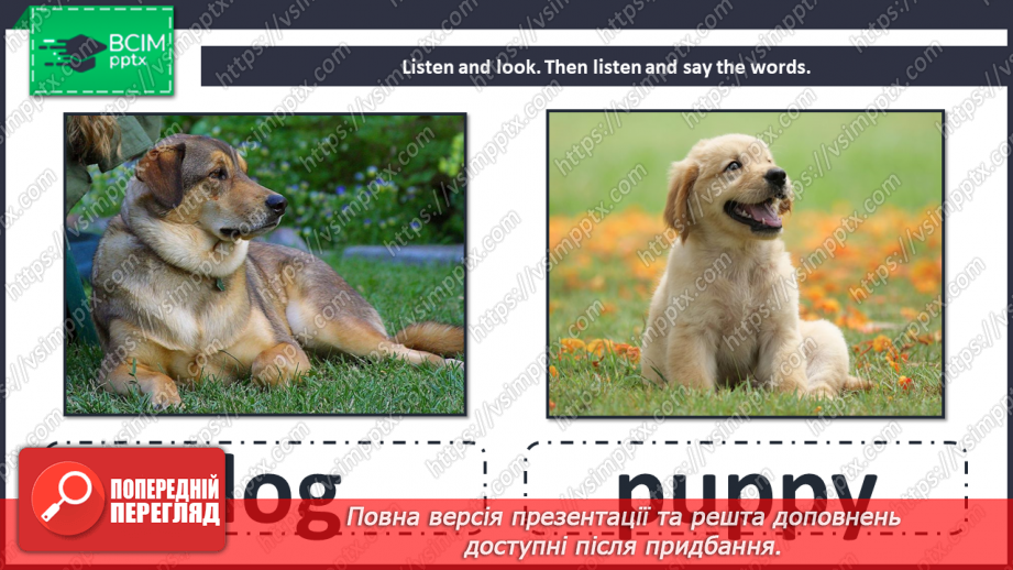 №087 - Unit 8. Look at that baby! Animals and their babies.6 №087 - Unit 8. Look at that baby! Animals and their babies.6