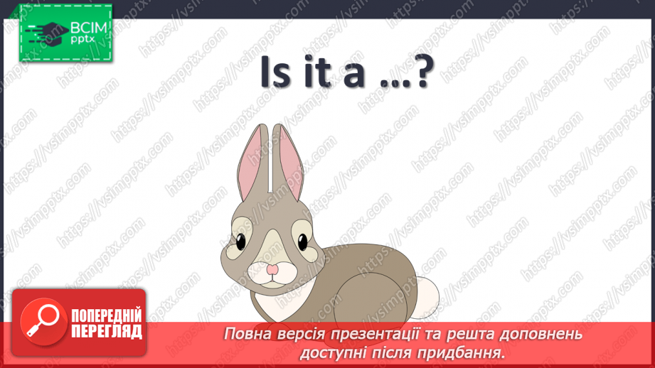 №33 - My pets15