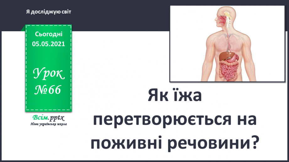 №066 - Як їжа перетворюється на поживні речовини.0 №066 - Як їжа перетворюється на поживні речовини.0