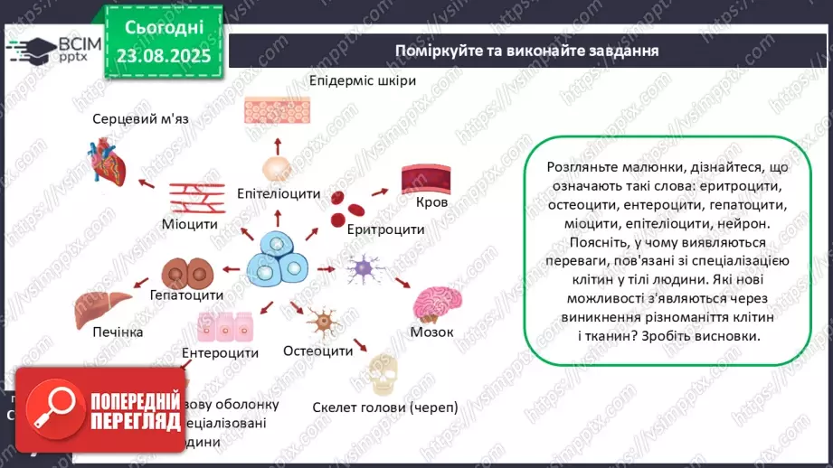 №001 - Організм людини та тварин як багаторівнева біологічна система. Клітини і тканини.18 №001 - Організм людини та тварин як багаторівнева біологічна система. Клітини і тканини.18