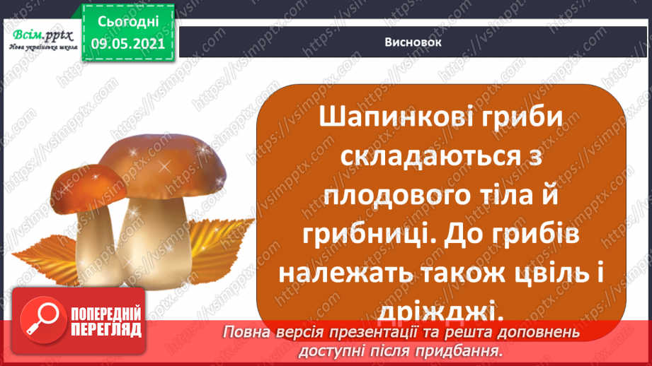 №079 - У чому загадковість світу грибів?27