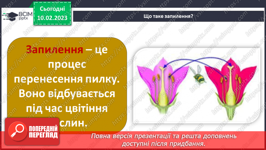 №45 - Пристосування до життя та різноманітність рослин. Секрети насінини.7