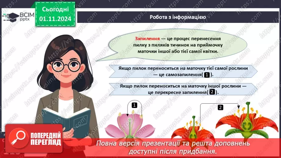 №33 - Квіткові. Квітка і суцвіття. Запилення (продовження).6 №33 - Квіткові. Квітка і суцвіття. Запилення (продовження).6