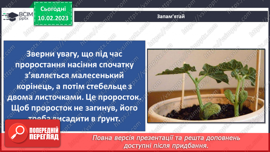№45 - Пристосування до життя та різноманітність рослин. Секрети насінини.28