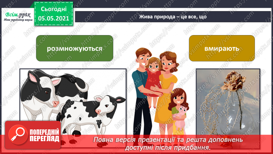 №031 - Організми, які тебе оточують.16