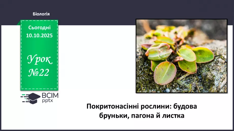 №022 - Покритонасінні рослини: будова бруньки, пагона й листка.0 №022 - Покритонасінні рослини: будова бруньки, пагона й листка.0