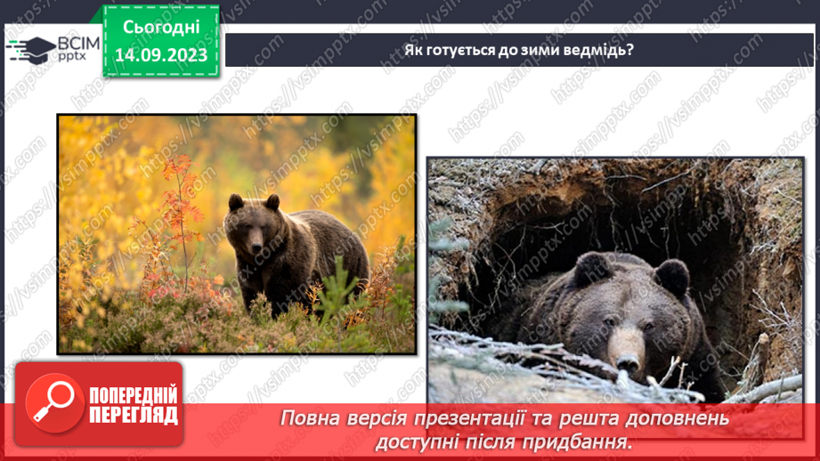 №012 - Тварини восени. Чому до зими потрібно готуватись? Як тварини до зими готуються?21