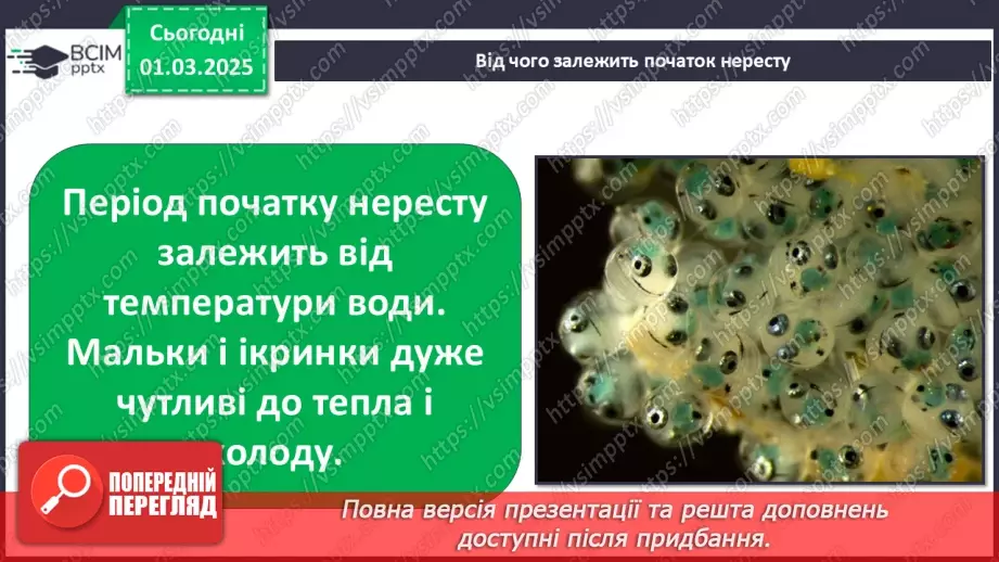 №0073 - Як змінюється життя у водоймах навесні8 №0073 - Як змінюється життя у водоймах навесні8