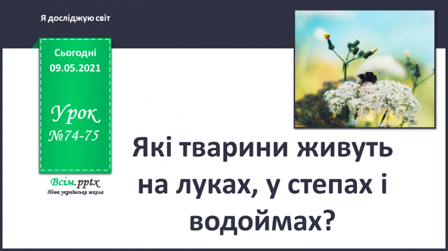 №074-75 - Які тварини живуть на луках, у степах і водоймах?0