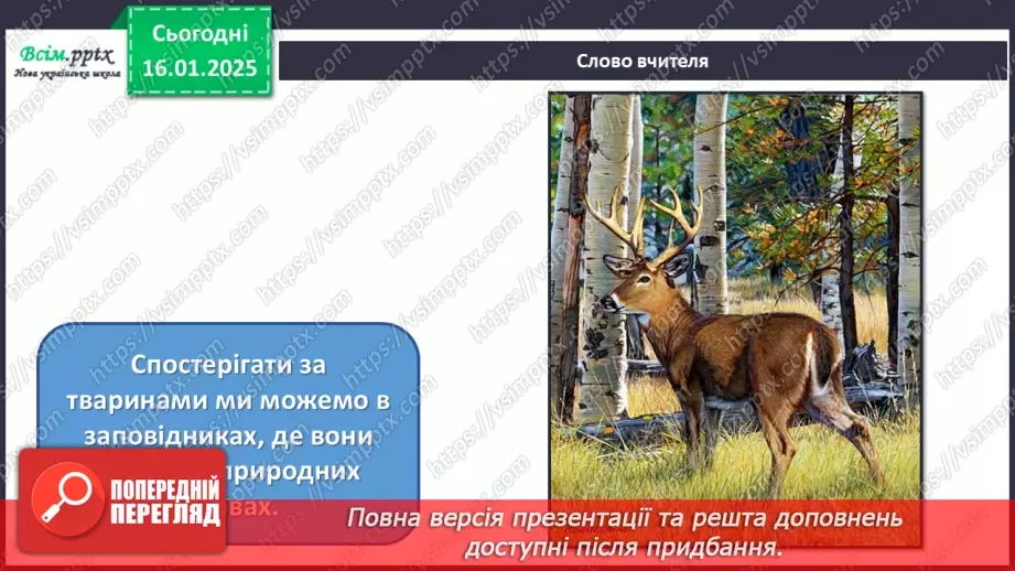 №19 - Карнавал тварин14