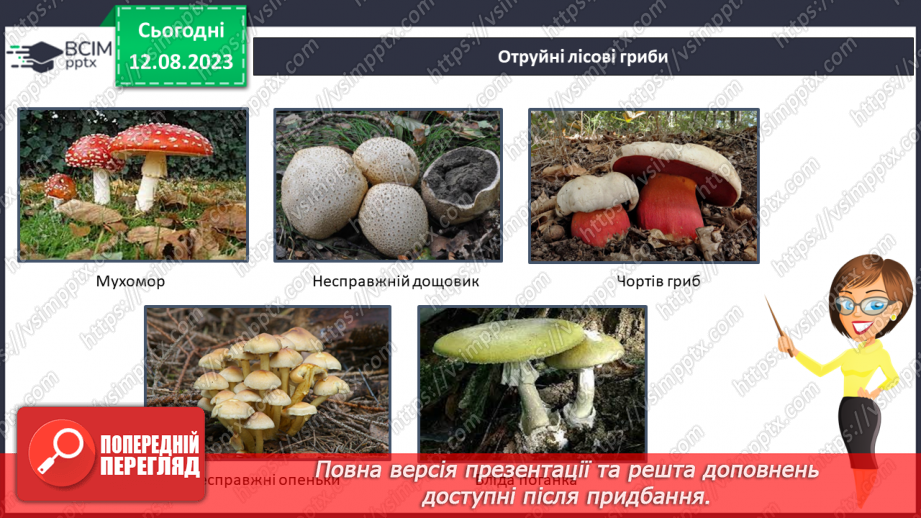 №42 - Ліс як джерело їжі (гриби, ягоди, мед тощо).10