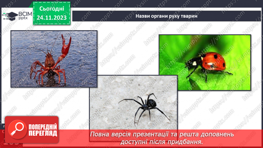 №28 - Чи можливе життя без руху. Різноманітність рухів рослин. Види руху тварин.21