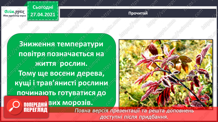 №032 - Як рослини готуються до зими2