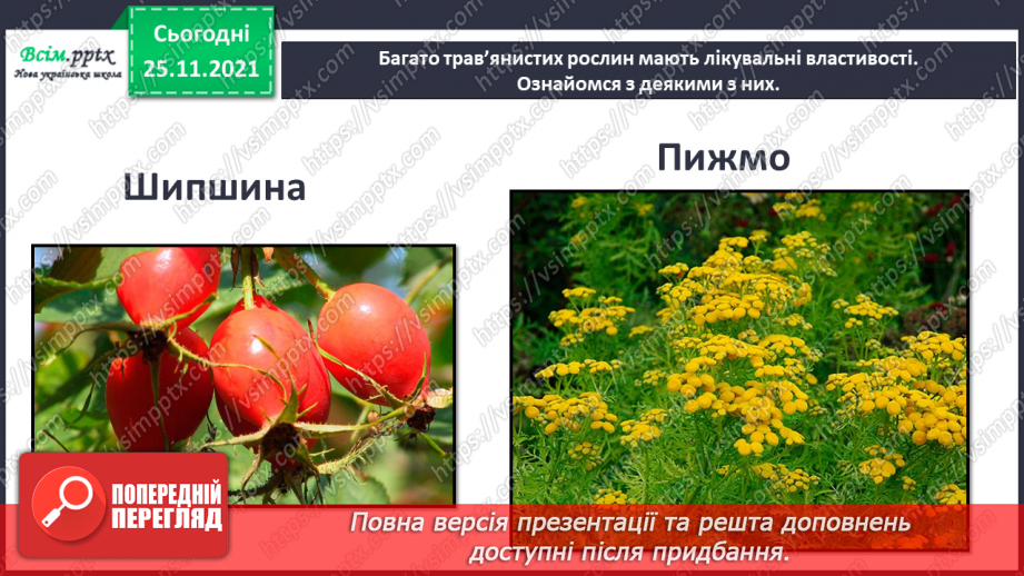 №099 - Які трав’янисті рослини називають «синоптиками», а які — «годинниками»?22