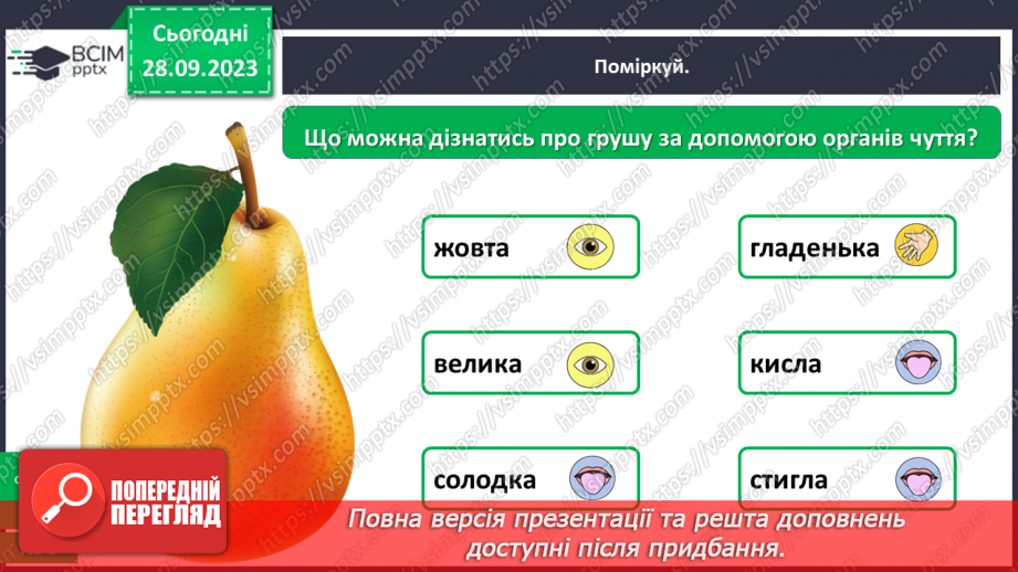 №017 - Органи чуття. Узагальнення13