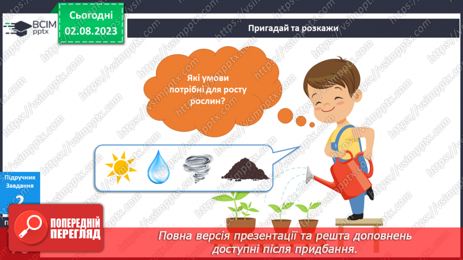 №083 - Рослини у моєму домі14