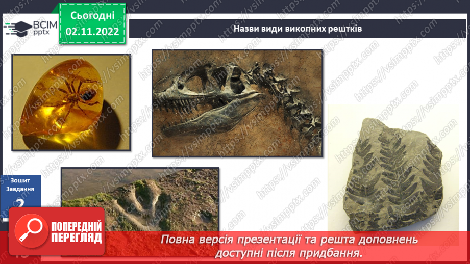 №034 - Еволюція тварин. Як досліджують минуле.24 №034 - Еволюція тварин. Як досліджують минуле.24