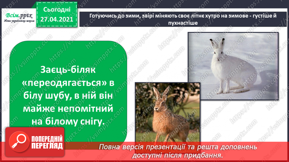 №027 - Чи всі птахи восени відлітають у теплі краї?7