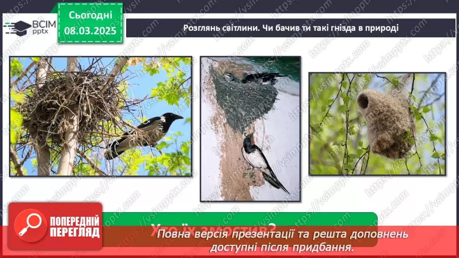 №0076 - Чому птахи в’ють гнізда18 №0076 - Чому птахи в’ють гнізда18
