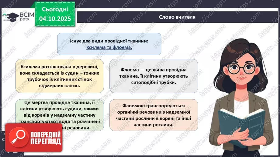 №021 - Покритонасінні рослини: тканини та будова кореня10 №021 - Покритонасінні рослини: тканини та будова кореня10