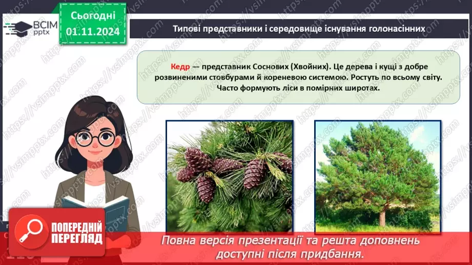 №31 - Насінні рослини та їх значення. Голонасінні.12 №31 - Насінні рослини та їх значення. Голонасінні.12