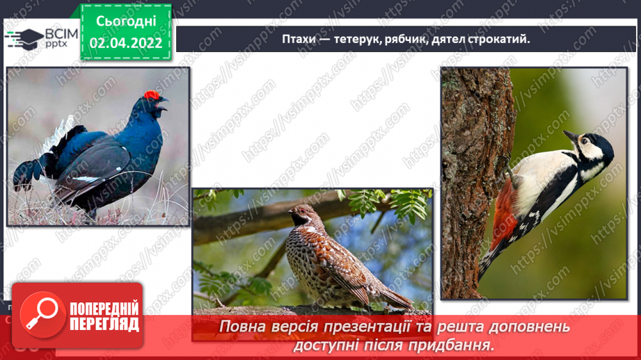 №082 - Українські Карпати17 №082 - Українські Карпати17