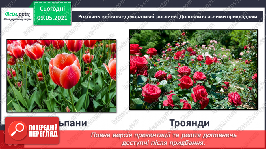 №053 - На які групи поділяють культурні рослини?9 №053 - На які групи поділяють культурні рослини?9