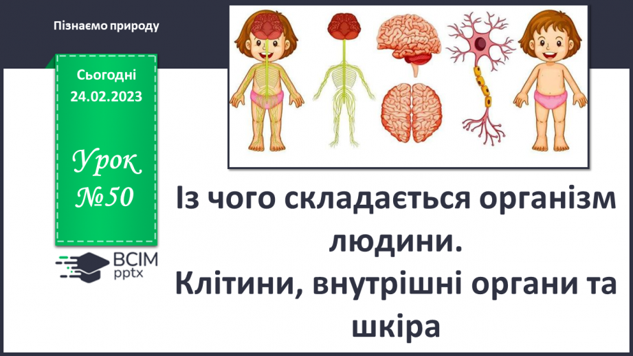 №50 - Із чого складається організм людини. Клітини, внутрішні органи та шкіра.0