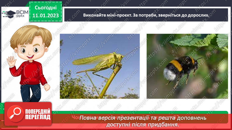 №0055 - Комахи13 №0055 - Комахи13