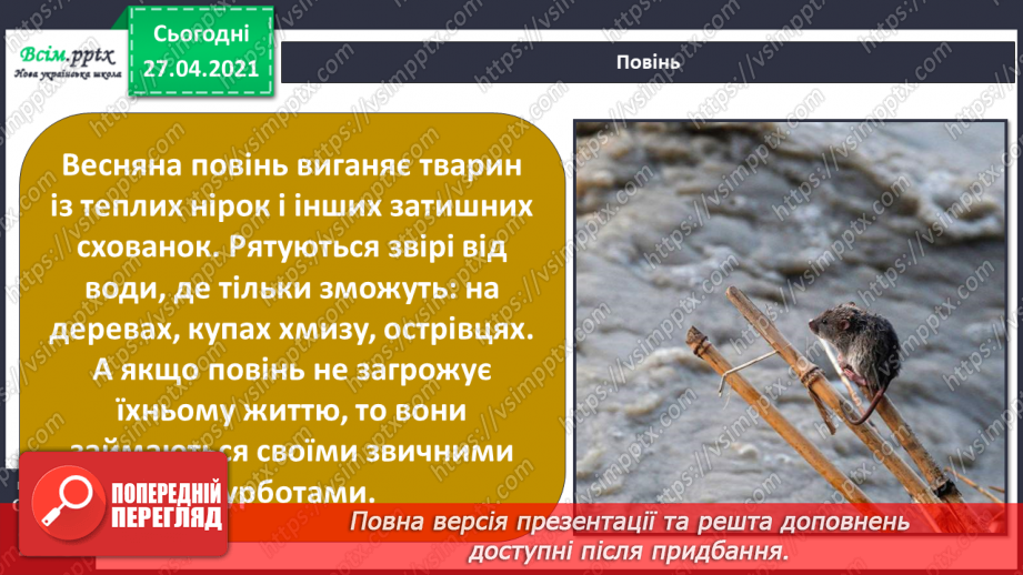 №088-89 - Які турботи приносить весна звірам?11