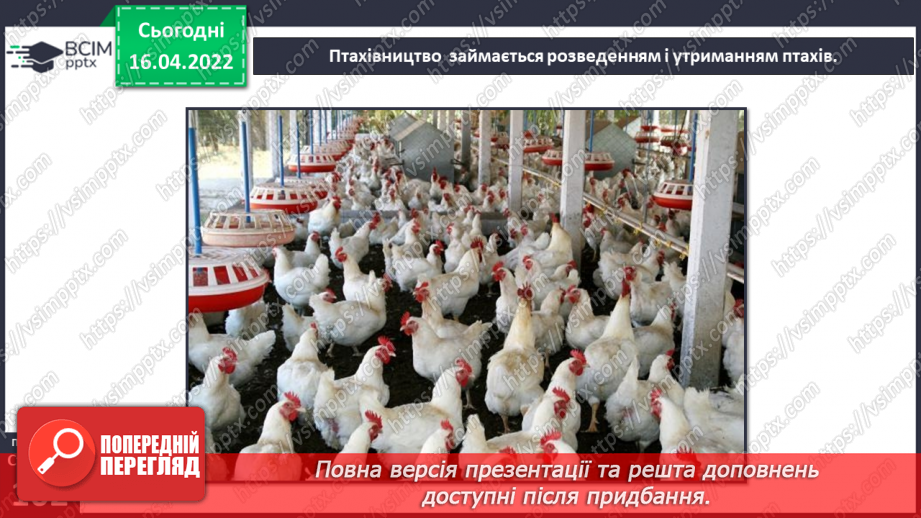 №090 - Тваринництво в рідному краї15 №090 - Тваринництво в рідному краї15
