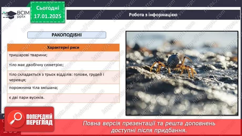 №54 - Членистоногі. Ракоподібні.8 №54 - Членистоногі. Ракоподібні.8