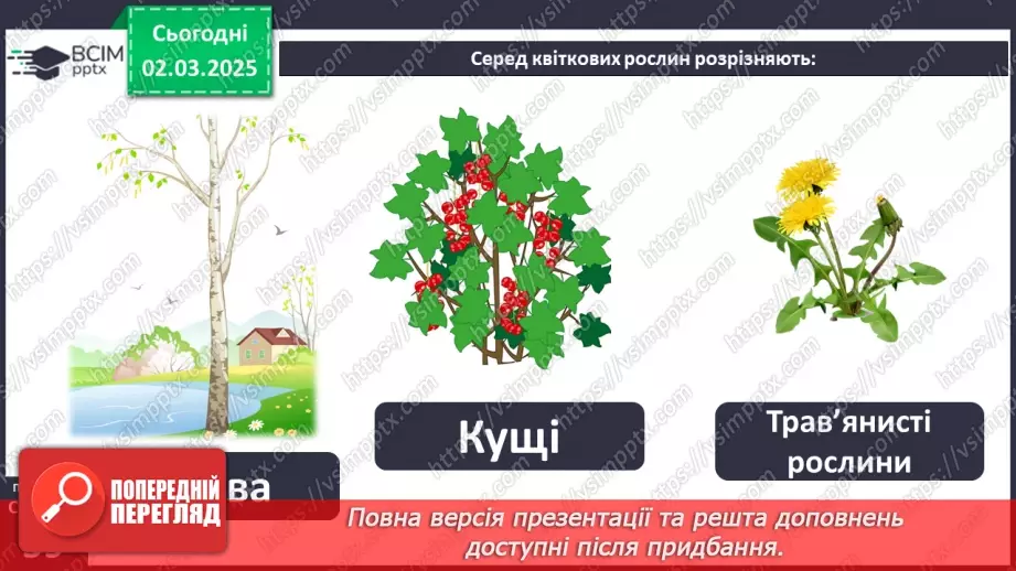 №074 - Різноманітність рослин. ст.59-616