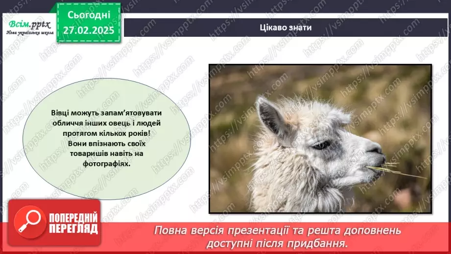 №25 - Робота з папером. Рвання і скручування паперу. Проєктна робота «Веселі вівці».10 №25 - Робота з папером. Рвання і скручування паперу. Проєктна робота «Веселі вівці».10