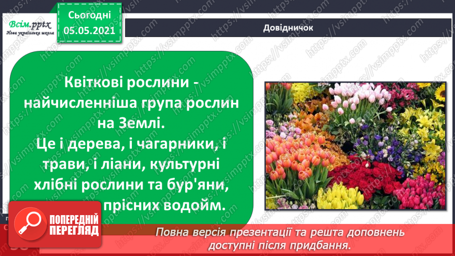 №036 - Квіткові рослини.5