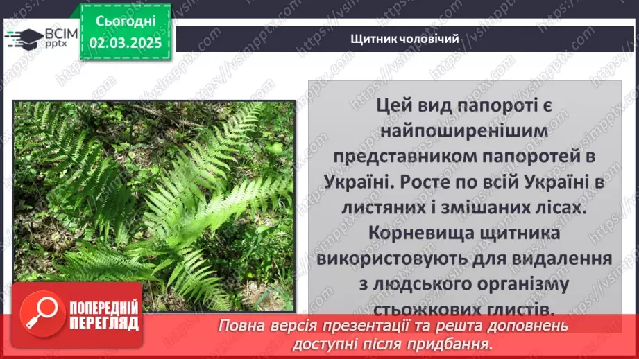 №074 - Різноманітність рослин. ст.59-6118