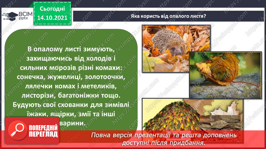№025 - Як безпека перетворюється на небезпеку? Дослідження «Які водоспади є на Закарпатті?».22 №025 - Як безпека перетворюється на небезпеку? Дослідження «Які водоспади є на Закарпатті?».22