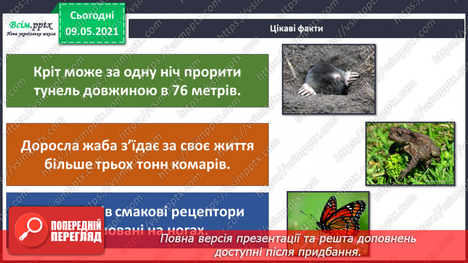 №074-75 - Які тварини живуть на луках, у степах і водоймах?33