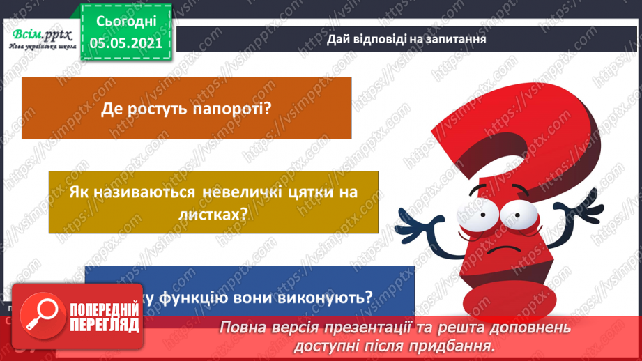 №034 - Папороті.23 №034 - Папороті.23