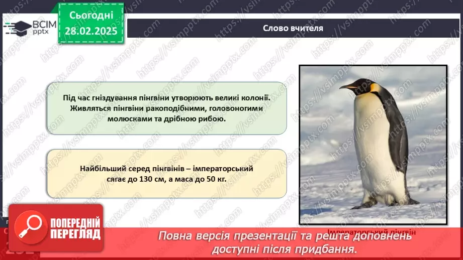 №65 - Різноманітність птахів.7