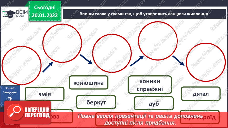 №058 - Які невидимі зв’язки є у природі? Комікс: «Чому говорять, що правда вийде нагору, як олія з води?»16