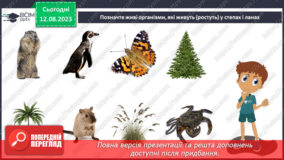 №46 - Степ, лісостеп, луки, поля (лани).21 №46 - Степ, лісостеп, луки, поля (лани).21