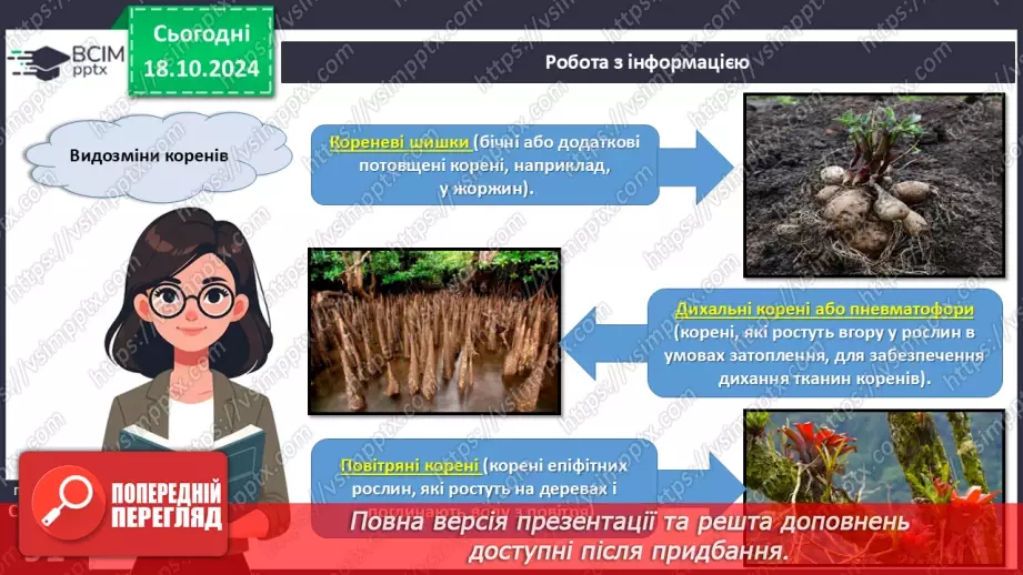 №26 - Видозміни вегетативних органів рослин.7 №26 - Видозміни вегетативних органів рослин.7