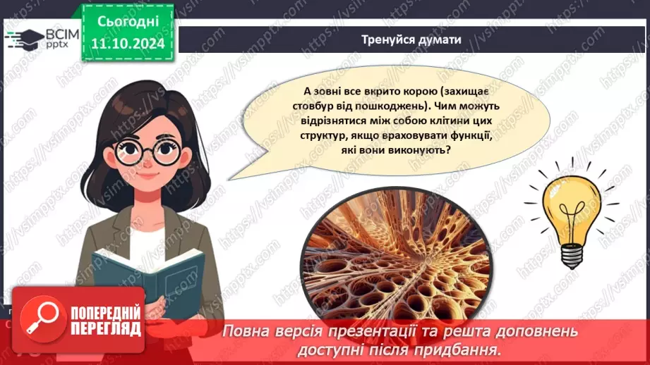 №23 - Тканини і органи рослин.7 №23 - Тканини і органи рослин.7